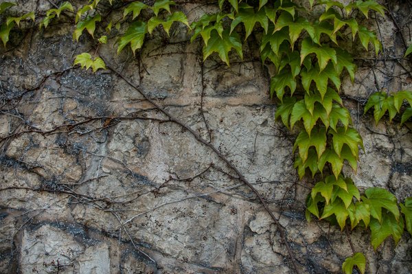 Welche sind die besten Fotospots in den Alpen für Landschaftsfotografen?