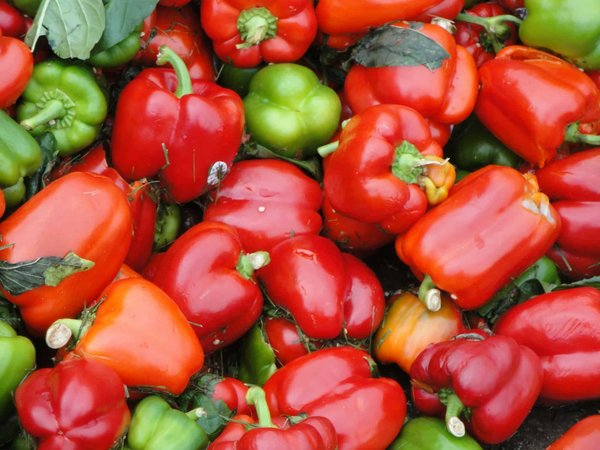 Wie kann die Umstellung auf eine Regenwassernutzungsanlage zur Wertsteigerung einer Immobilie beitragen?